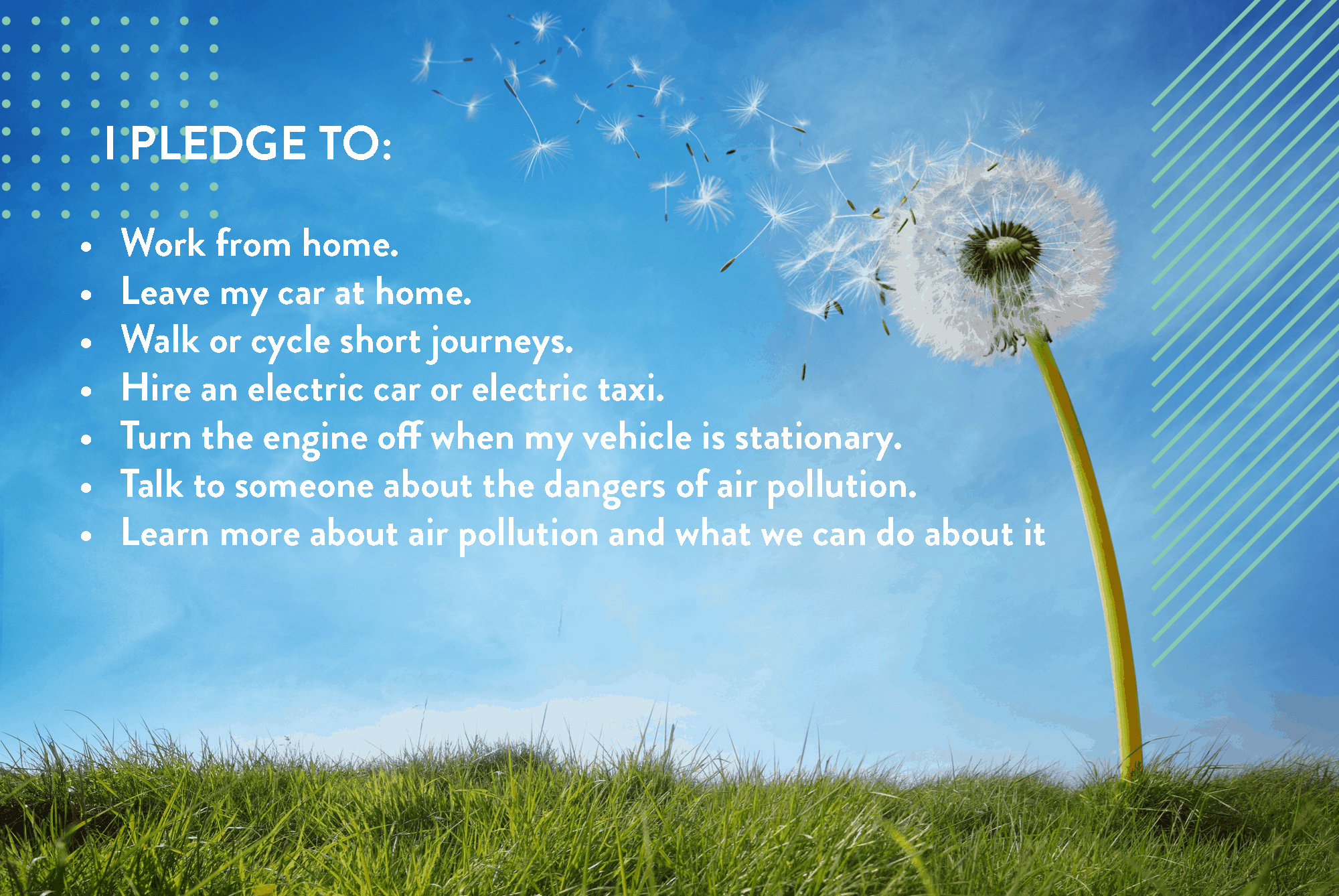 Pledge for Clean Air Day