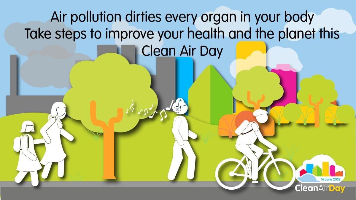 Air pollution dirties every organ in your body